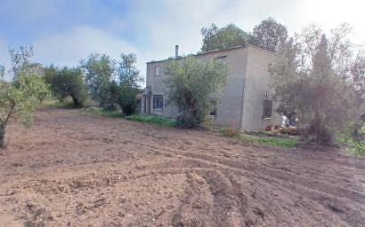 Resale - Finca / Country Property -
Jumilla