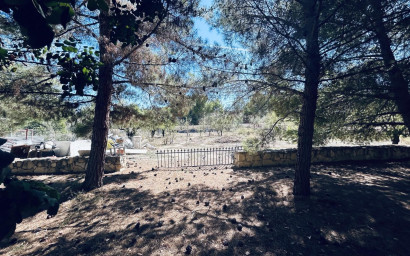 Revente - Villa -
Monovar