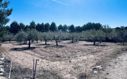 Revente - Villa -
Monovar
