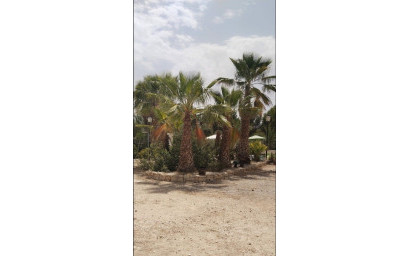 Revente - Villa -
Monovar