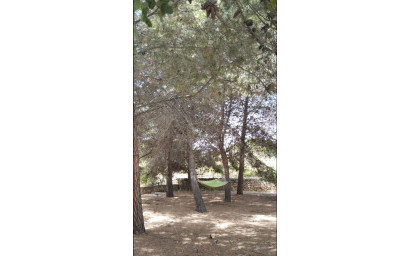 Revente - Villa -
Monovar