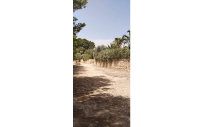 Revente - Villa -
Monovar