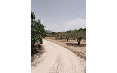 Revente - Villa -
Monovar