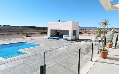 Nouvelle construction - Villa -
Pinoso