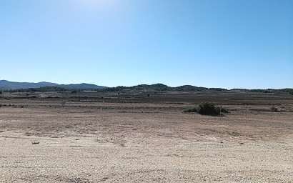 Nouvelle construction - Villa -
Pinoso