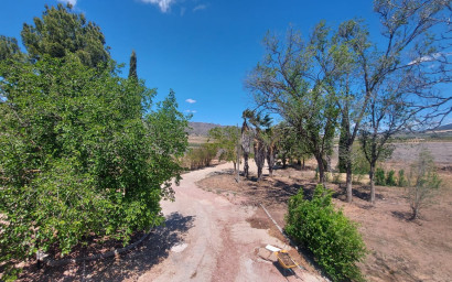 Resale - Equestrian property -
Yecla