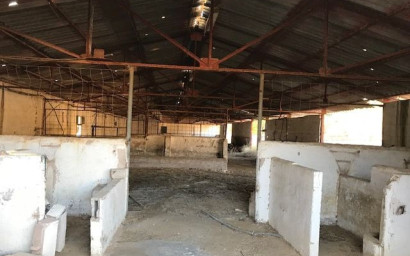 Resale - Equestrian property -
Yecla