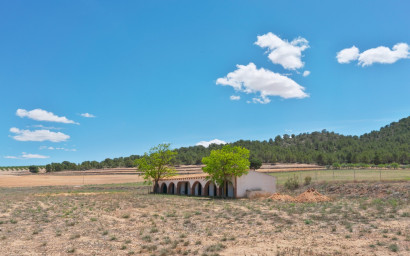 Resale - Equestrian property -
Yecla