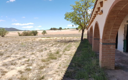 Resale - Equestrian property -
Yecla