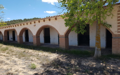 Resale - Equestrian property -
Yecla