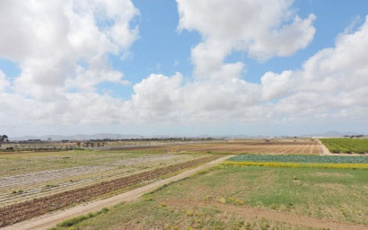 Revente - Maison mitoyenne -
Torre Pacheco