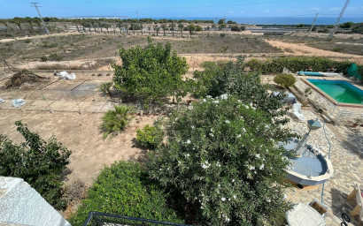 Resale - Finca / Country Property -
San Fulgencio