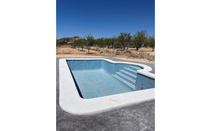 Nieuwbouw - Villa -
Pinoso