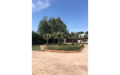 Resale - Detached Villa -
Novelda