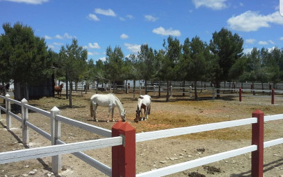 Revente - Local commercial -
Yecla