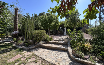 Resale - Villa -
Elche