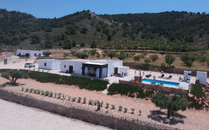 Nouvelle construction - Villa -
Macisvenda