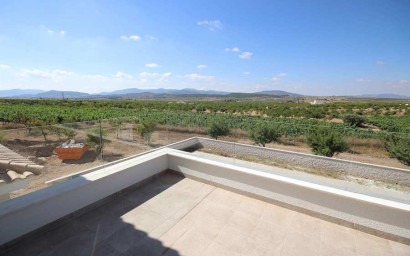 Nouvelle construction - Villa -
Pinoso