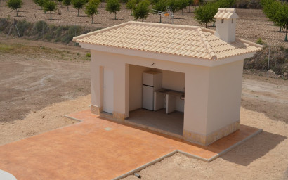 Nouvelle construction - Villa -
Pinoso