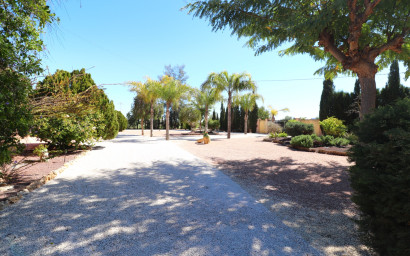 Resale - Finca / Country Property -
Callosa de Segura - Callosa de Segura - Country