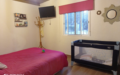 Resale - Finca / Country Property -
Novelda
