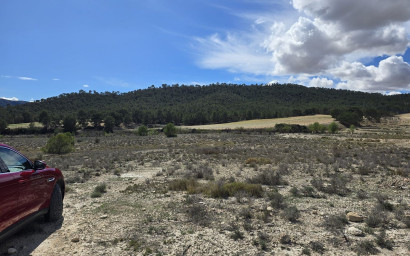 Herverkoop - Land -
Salinas