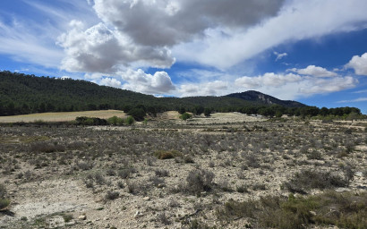 Herverkoop - Land -
Salinas
