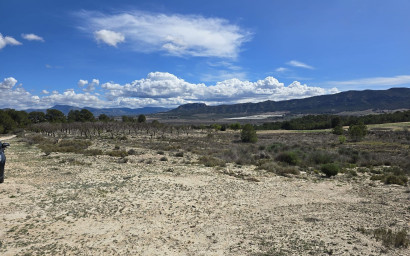Herverkoop - Land -
Salinas