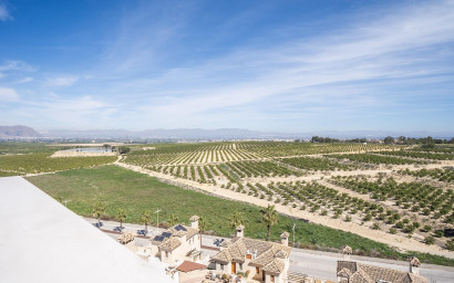 Nouvelle construction - Villa -
Algorfa