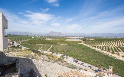 Nouvelle construction - Villa -
Algorfa