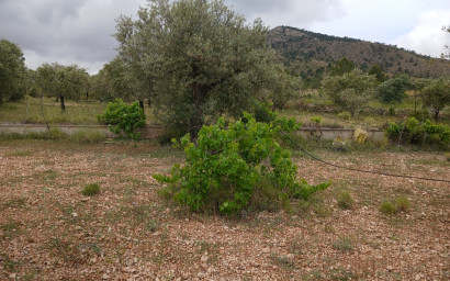 Revente - Maison de campagne -
Yecla
