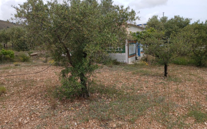 Revente - Maison de campagne -
Yecla
