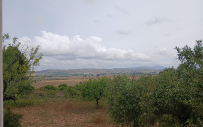 Revente - Maison de campagne -
Yecla