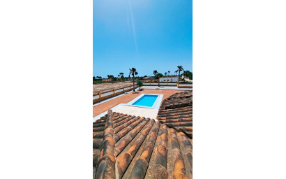 Revente - Villa -
Catral