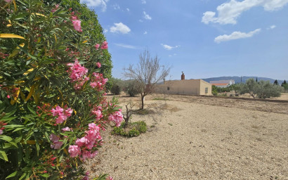 Resale - Villa -
Salinas