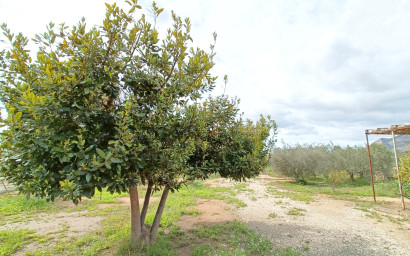 Resale - Villa -
Hondón de las Nieves