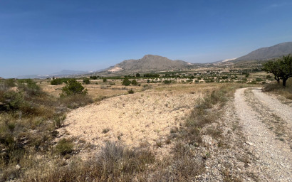 Herverkoop - Land -
BARBARROJA - Barbarroja