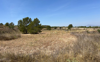 Herverkoop - Land -
BARBARROJA - Barbarroja
