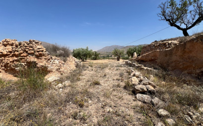Herverkoop - Land -
BARBARROJA - Barbarroja