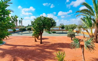 Resale - Finca / Country Property -
Catral - Catral - Country