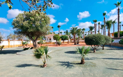 Resale - Finca / Country Property -
Catral - Catral - Country