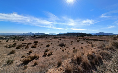 Nouvelle construction - Villa -
La Romana