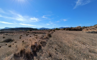 Nouvelle construction - Villa -
La Romana