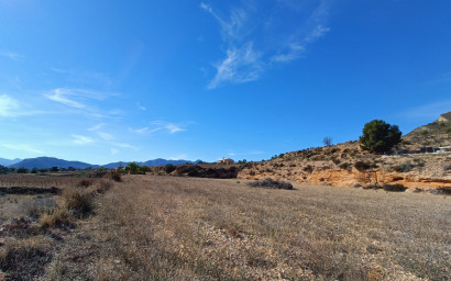 Nouvelle construction - Villa -
La Romana