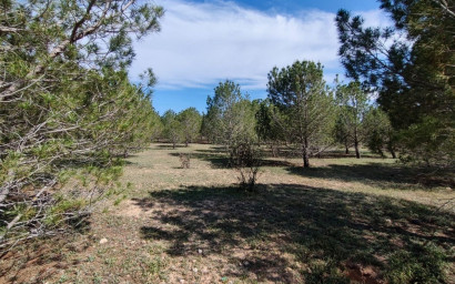 Revente - Maison de campagne -
Yecla