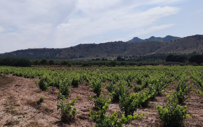 Revente - Maison de campagne -
Yecla
