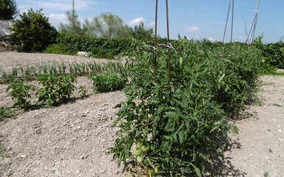 Revente - Villa -
Yecla