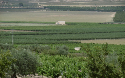 Revente - Villa -
Yecla