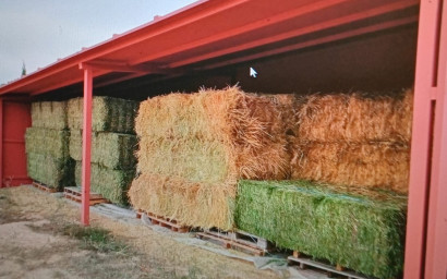 Resale - Equestrian property -
Zarra