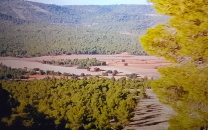 Resale - Equestrian property -
Zarra